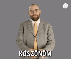 Hungarian Thanking GIF by Verohallinto