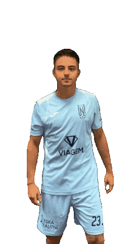 Fkviagem Sticker by Florbal Ústí