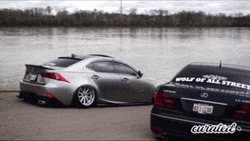 200.gif?cid=fc005b08ade13c47c0477ef424fc3a4a635d4635a7f4ab1a&rid=200.gif&ct=g