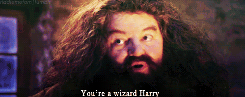 you're a quinzy, harry! i'm a what? a quinzy Giphy