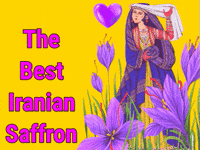 saffron firefly gif