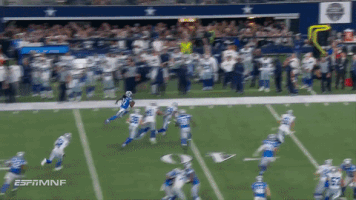 mexicanal  GIF