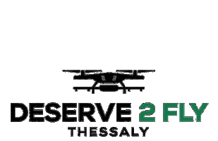 DESERVE 2 FLY Sticker