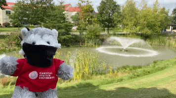 Wolf Pack Fountain GIF by Cardinal Stritch University