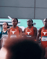 Celebration Utaustin GIF by Texas Longhorns