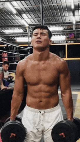 Octagon GIF