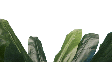 Sticker by Sport-Natural