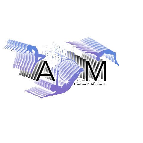 Academy Of Movement Sticker