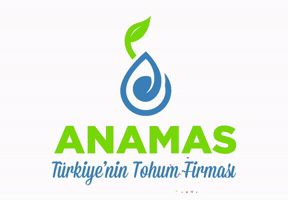 Anamas Tohum GIF