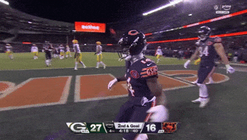 Chicago Bears GIF