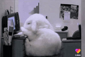 Video gif. A bunny in a bunny-sized office space, working at a computer, falls over.