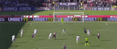 Vicario GIF