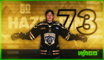 Ice Hockey Panthers GIF