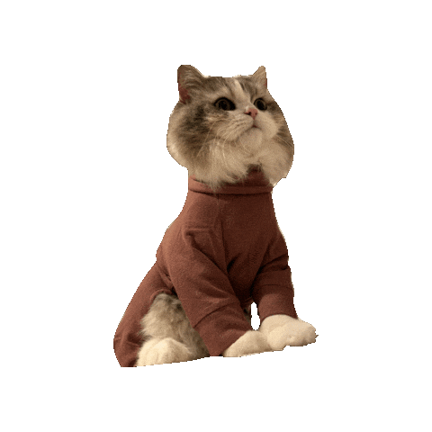 Angry Cat Sticker by Meta Meow