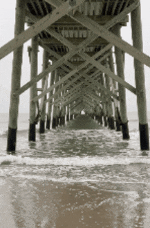 Oak Island Oki GIF
