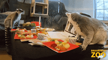Holiday Family GIF by Brookfield Zoo