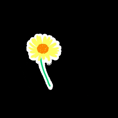 Flower Spring GIF