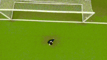 Soccer Goalkeeper GIF by Kevin Mauel
