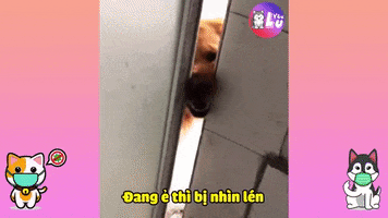 Yêu Lu GIF
