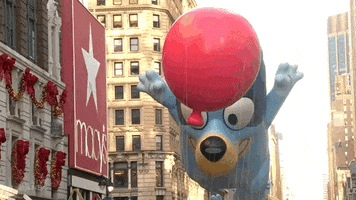 Macys Parade Bluey GIF by The 97th Macy’s Thanksgiving Day Parade