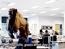 Ad gif. In a Geico commercial, a camel flaps its lips, leaning towards a woman typing at a desk. Text, “Hey Julie, guess what day it is? Aw, come on! I know you can hear me!”