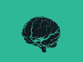 Dexellence GIF