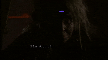 Plant GIF