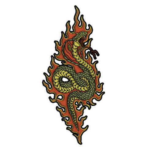 Riotkidz Sticker by Hikari Riders