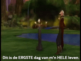 Swan Lake GIF