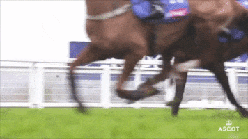 Horse Racing Running GIF by Ascot Racecourse