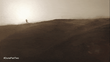 Timothee Chalamet Desert GIF by Warner Bros. Pictures