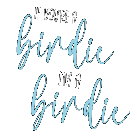 Birdies Sticker by Birdie's Brew