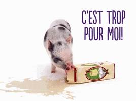 Hungry Animaux GIF by TELUS