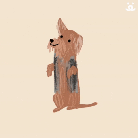 animated dog gif