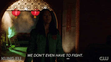 Season 2 Fight GIF by CW Kung Fu