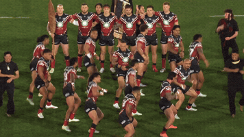 New Zealand Fish GIF by NZWarriors