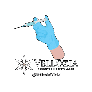 VelloziaOficial Sticker