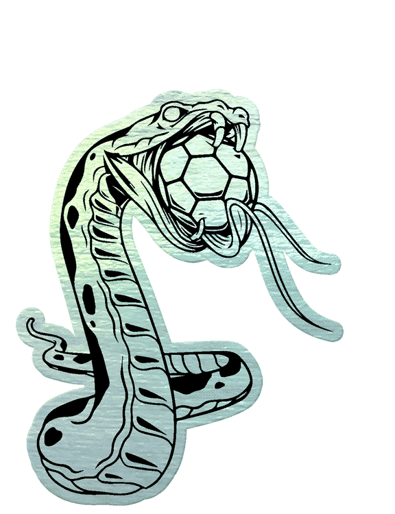 Football Soccer Sticker by EA SPORTS FC