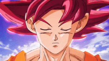 Dragon Ball Super Goku Vs Beerus GIF