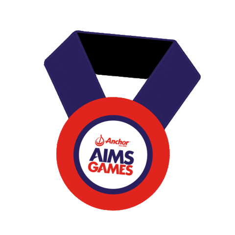 AimsGames Sticker