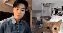 San Cat GIF