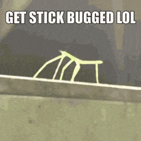 Meme Stick GIF - Find & Share on GIPHY