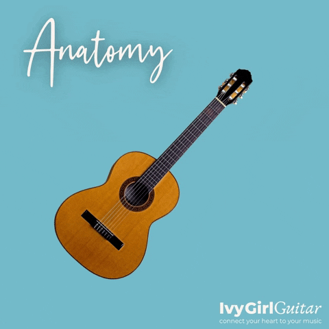 Acoustic Guitar Musician GIF by Ivy Girl Guitar