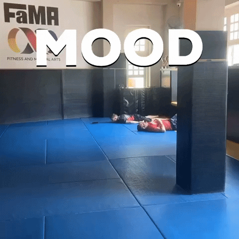 Martial Arts Fitness GIF by FaMA
