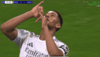 Bellingham GIF
