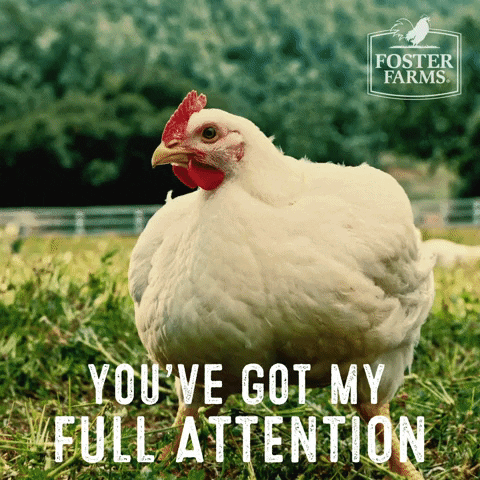 fosterfarms reaction chicken attention foster farms GIF