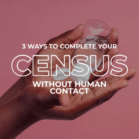 Census GIF