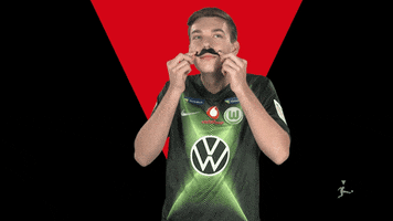 Vfl Wolfsburg Fifa GIF by Bundesliga