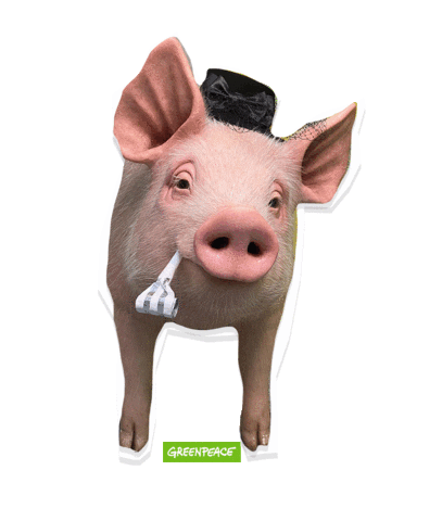 Happy Vegan Sticker by GreenpeaceDeutschland