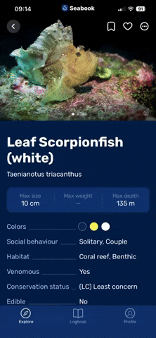 Seabook GIF